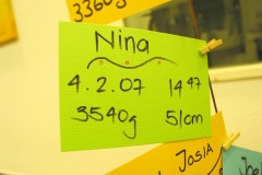 Ein Jahr Nina
